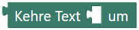 Text umkehren